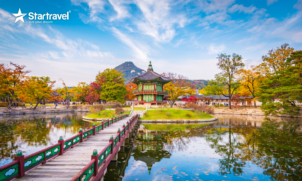 Ngày 2: SEOUL CITY (Ăn sáng, trưa, tối)